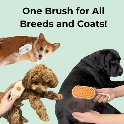 Pet Steam Brush